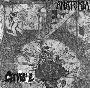 Anatomia : Anatomia - Gravesite